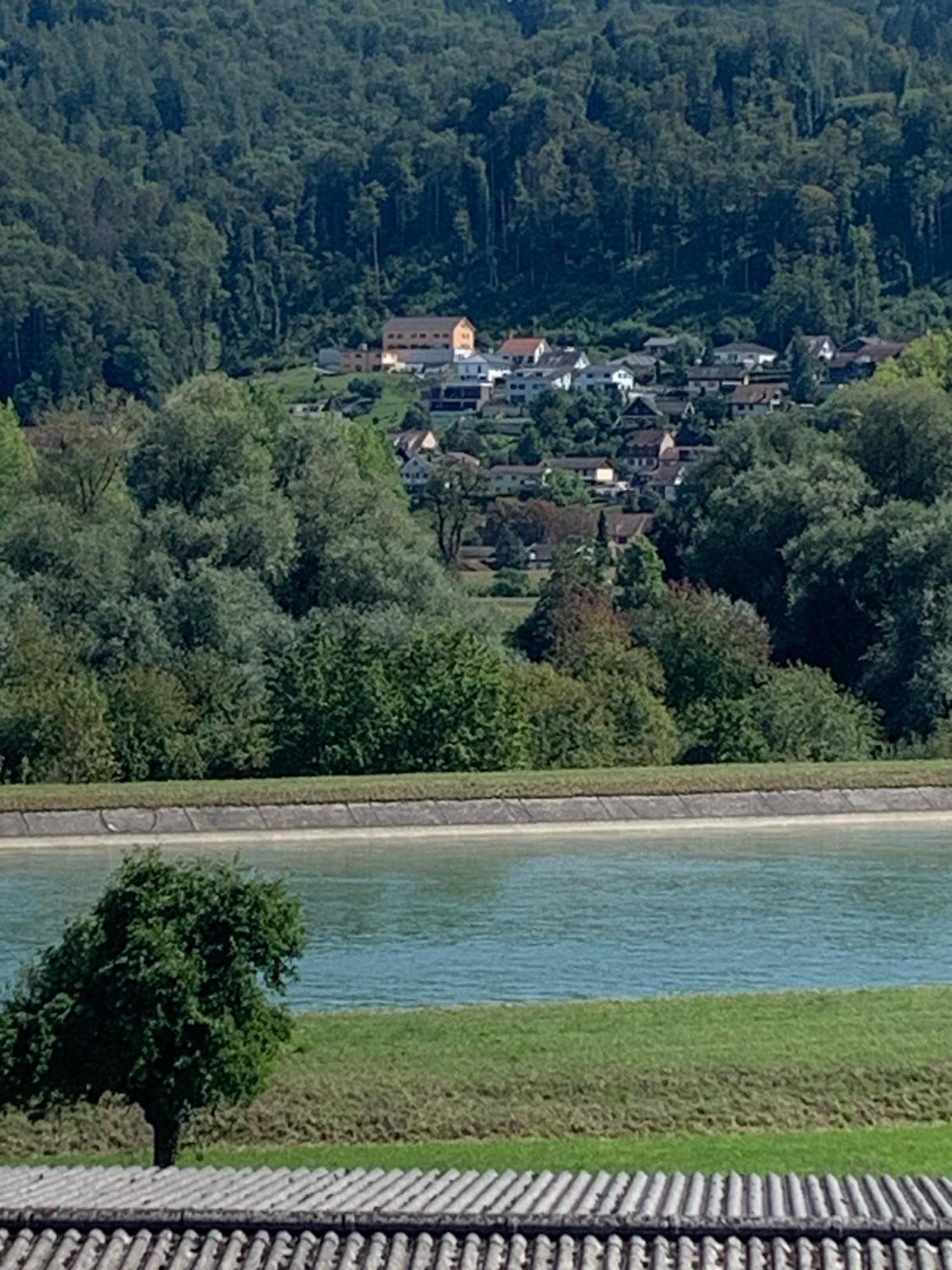 Hochrhein Ferienwohnung Albbruck エクステリア 写真