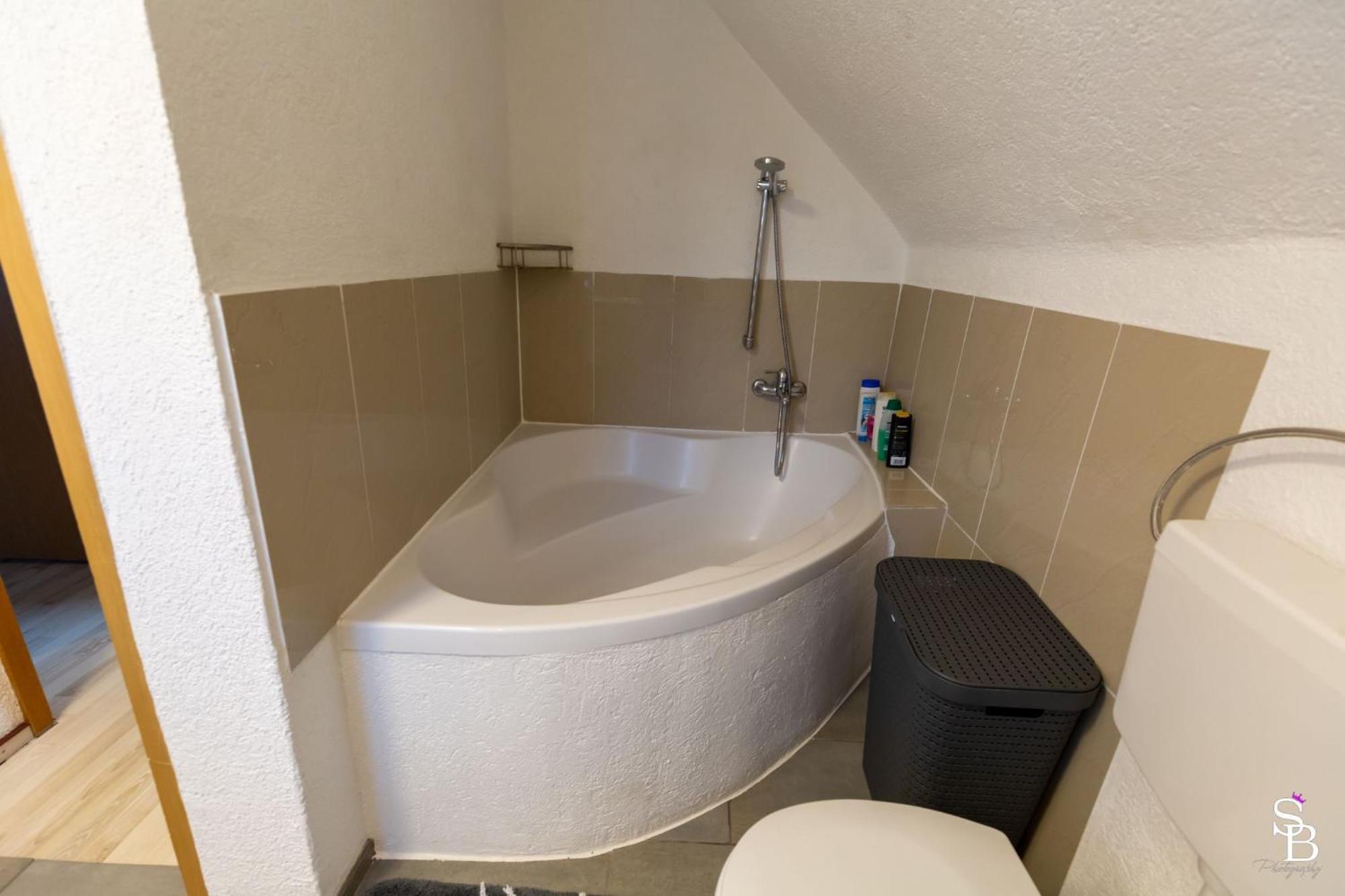 Hochrhein Ferienwohnung Albbruck エクステリア 写真